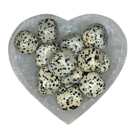 Dalmation Jasper Tumble