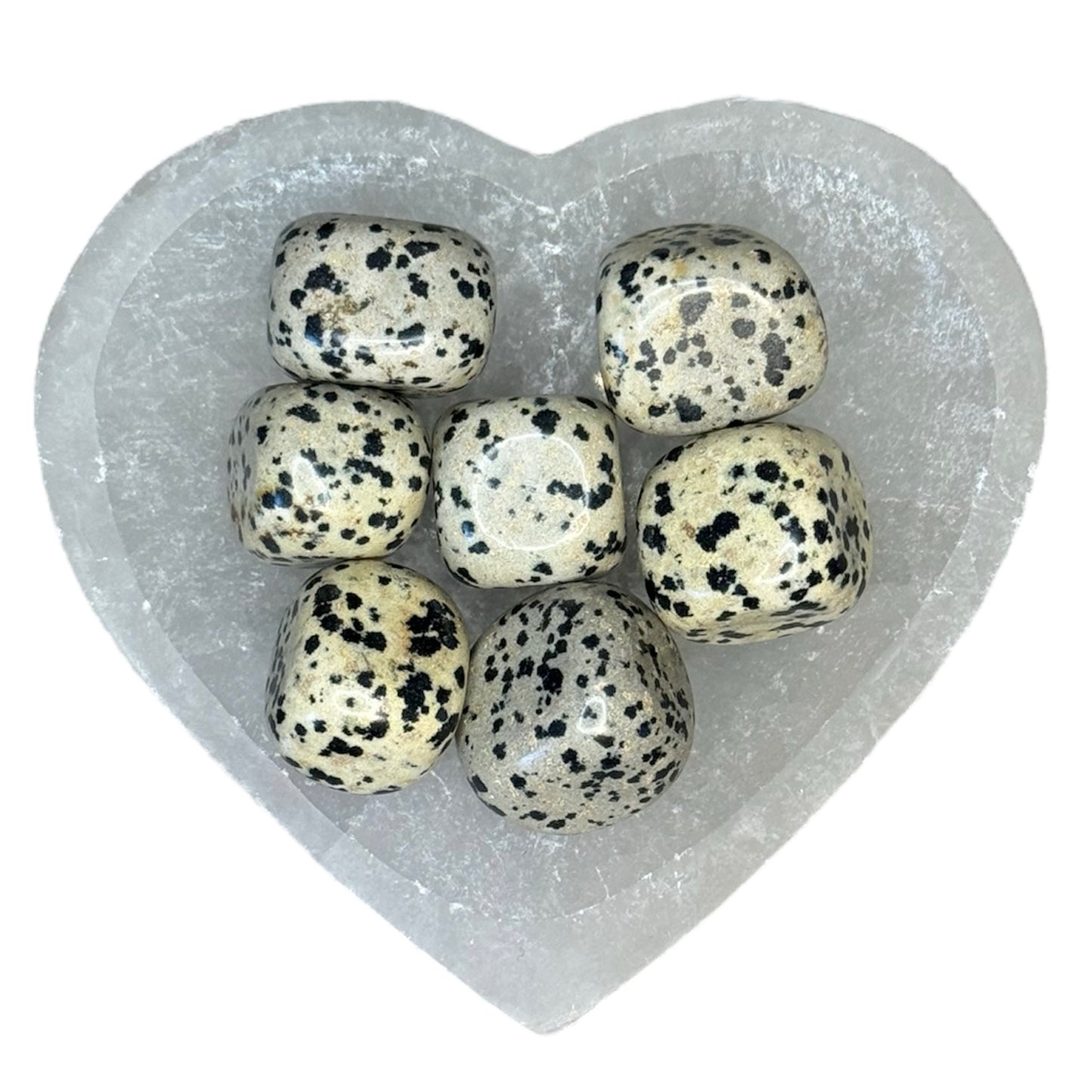 Dalmation Jasper Tumble